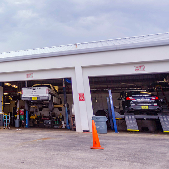 Government Fleet
